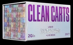 CLEANS 100 Group B Purple